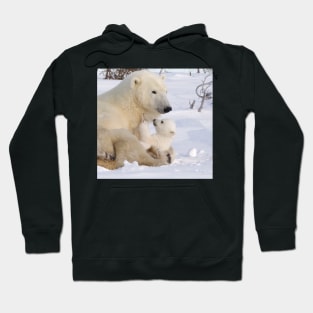 Mother polar bear & cub Hoodie